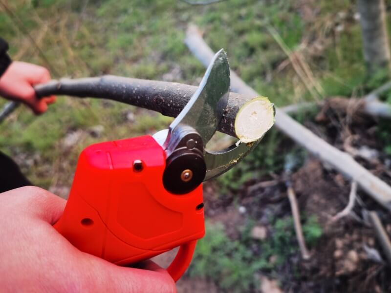 5 important and fast tips about electric pruning shears
