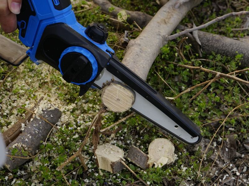 15 quick tips about battery pruner