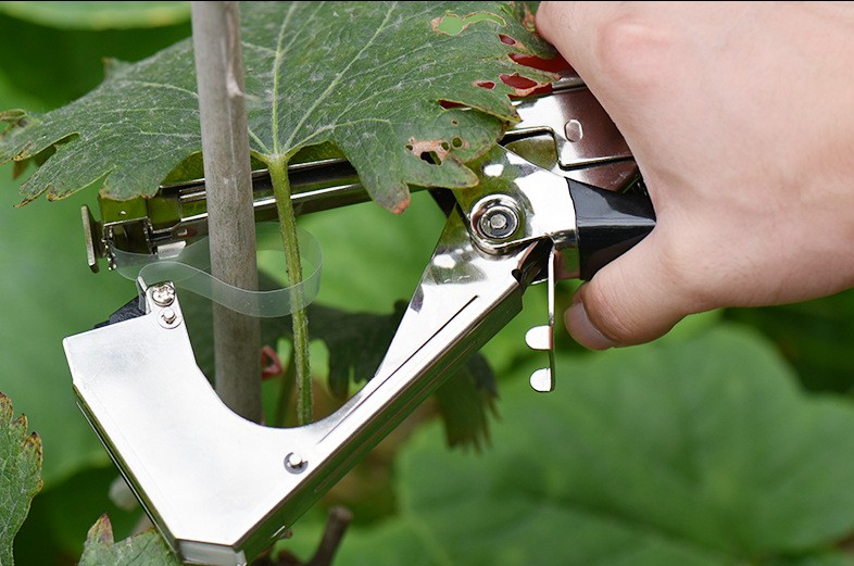 plant vine tying machine
