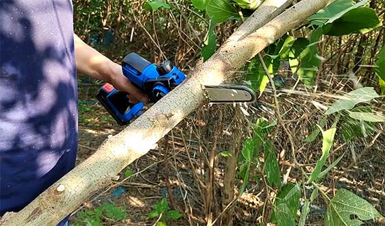 how to choose electric secateurs